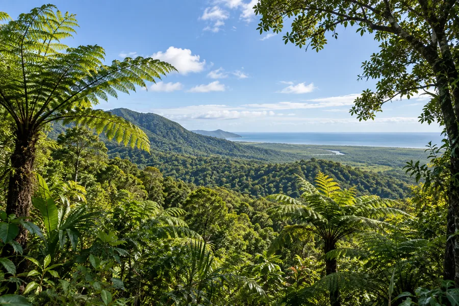 Daintree rainforest in cooler and drier weather