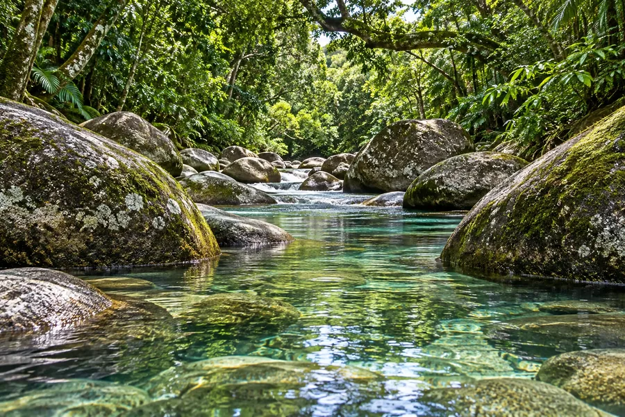 Clear rainforest streams and boulders at Mossman Gorge