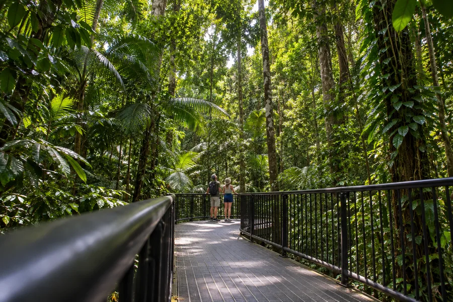 Elevated walkway at the Daintree Discovery Centre