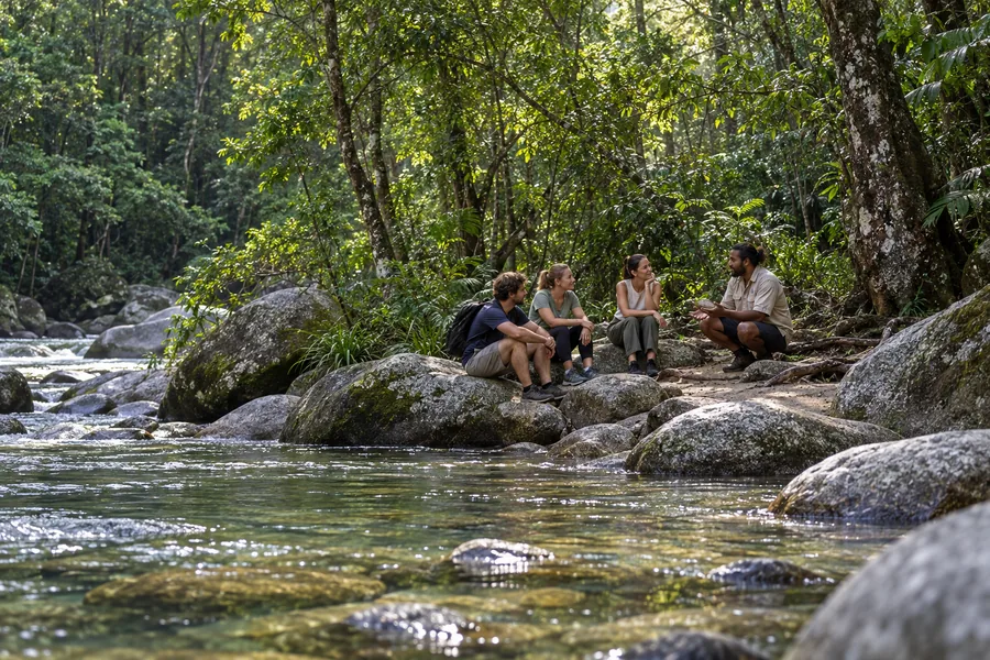 Rainforest and granite boulders at Mossman Gorge